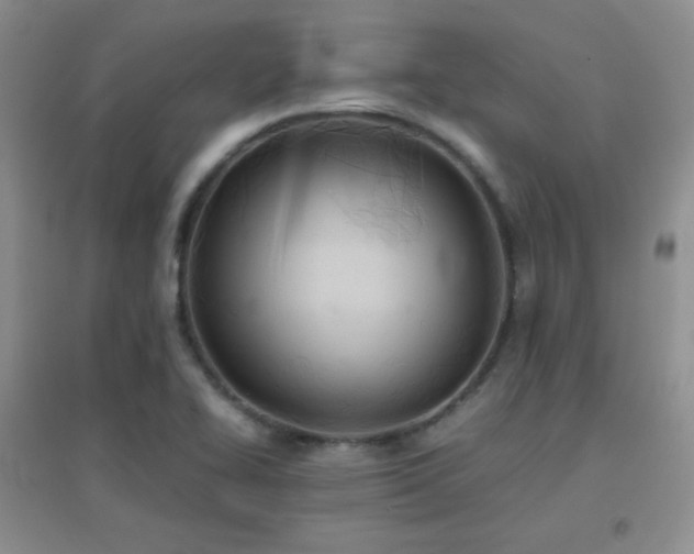 X0000096961414200802081220