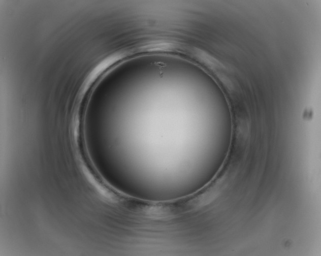 X0000096961418200802081220
