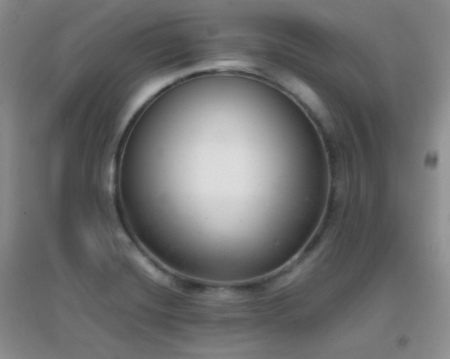 X0000096961420200802081220
