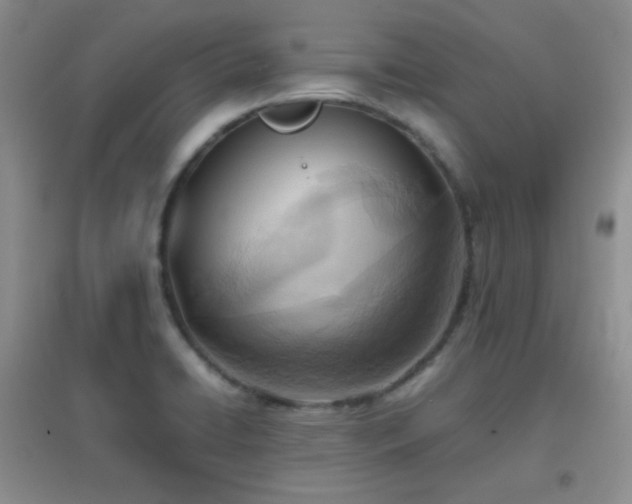 X0000096961422200802081220
