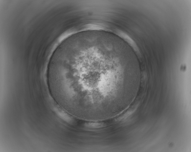 X0000096961427200802081220