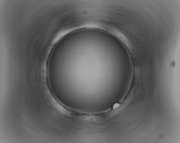 X0000096961428200802081220