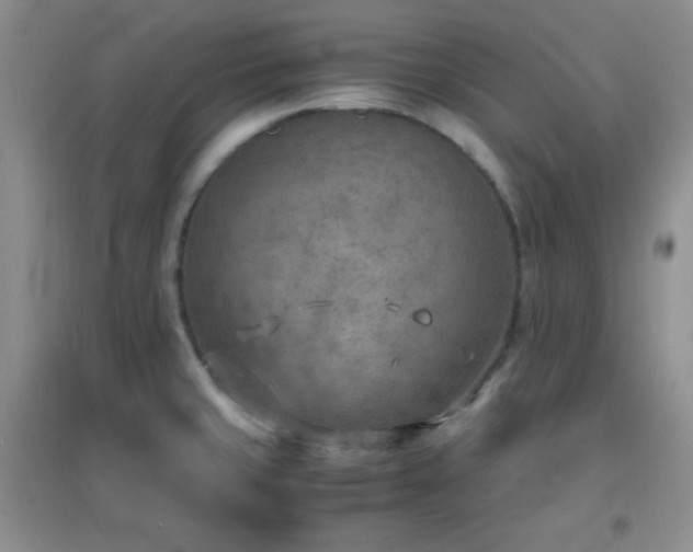 X0000096961429200802081220