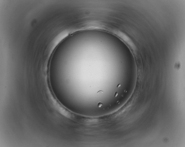 X0000096961431200802081220