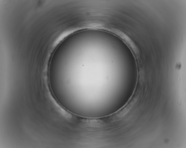 X0000096961432200802081220