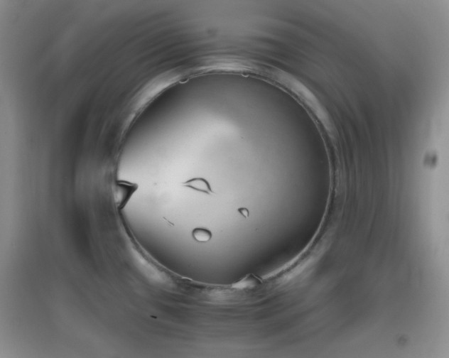 X0000096961433200802081220