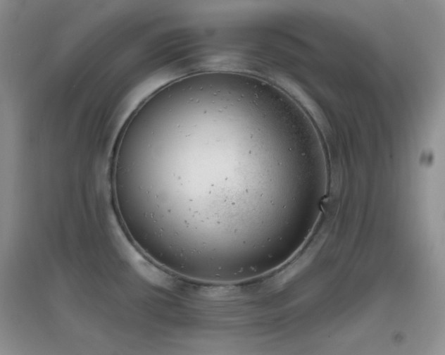 X0000096961434200802081220