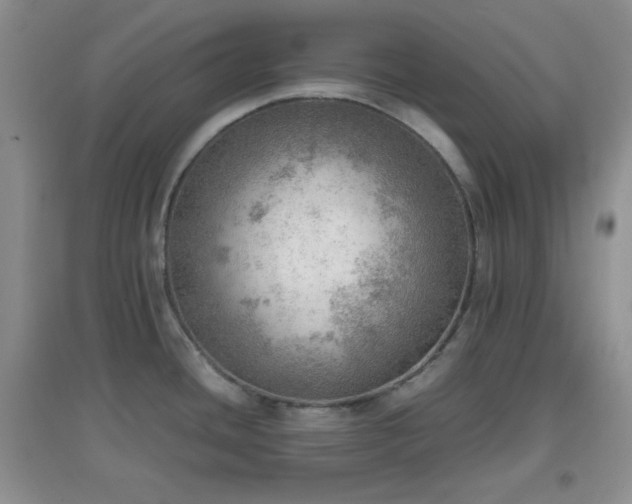 X0000096961436200802081221