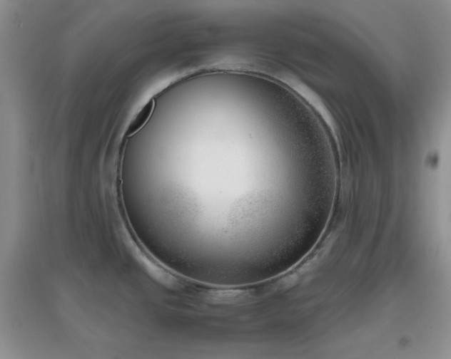 X0000096961437200802081221