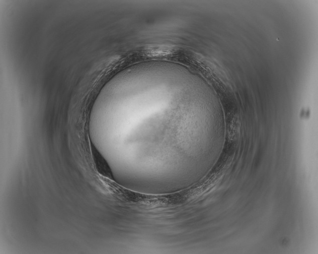 X0000096961441200802081220
