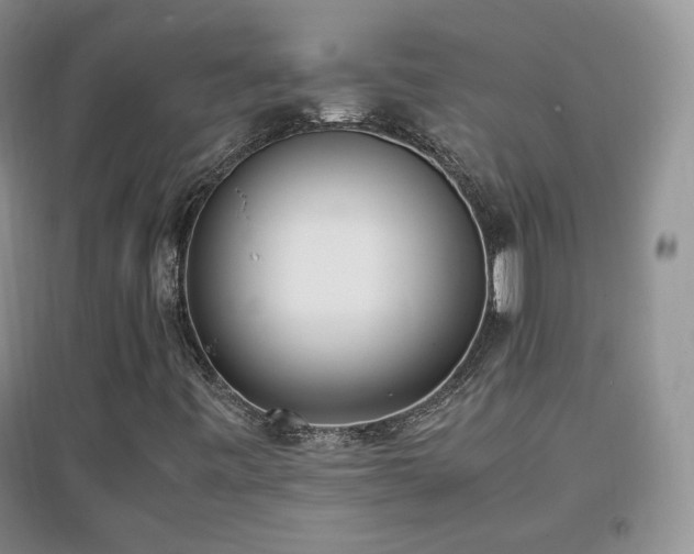 X0000096961443200802081220