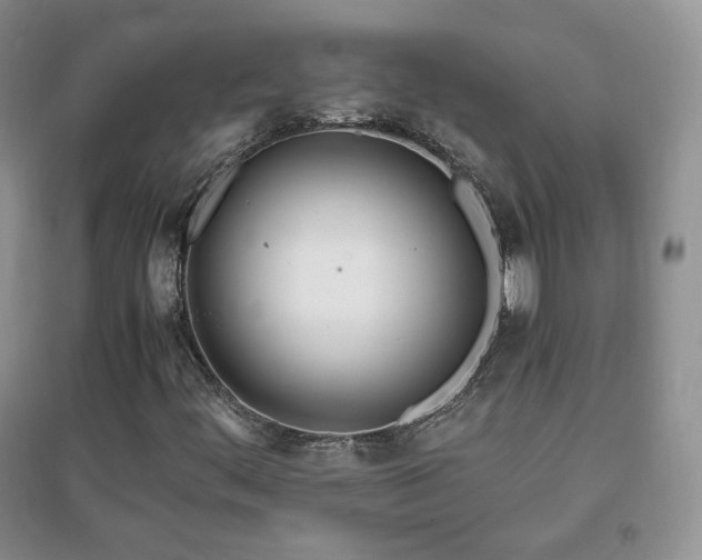X0000096961444200802081220