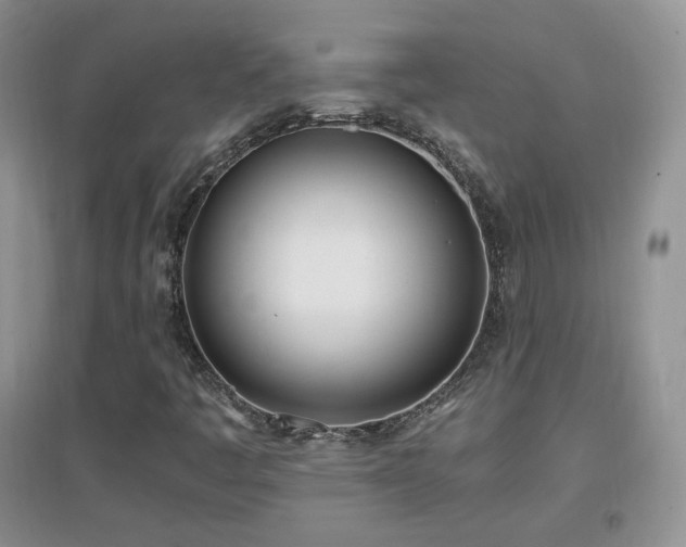 X0000096961445200802081220