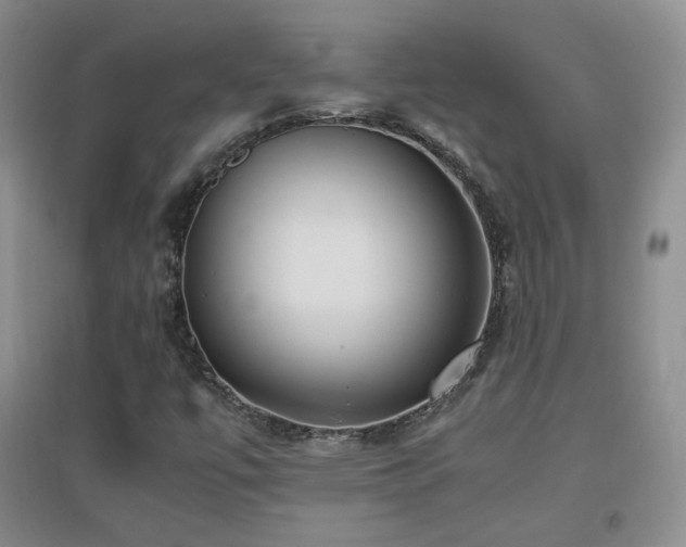 X0000096961447200802081220