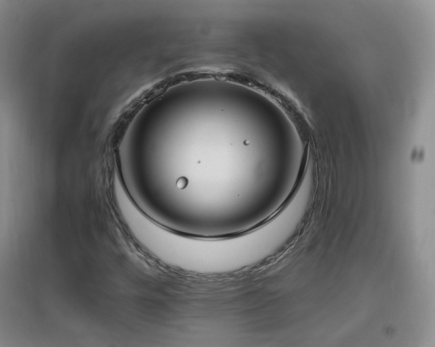 X0000096961448200802081220