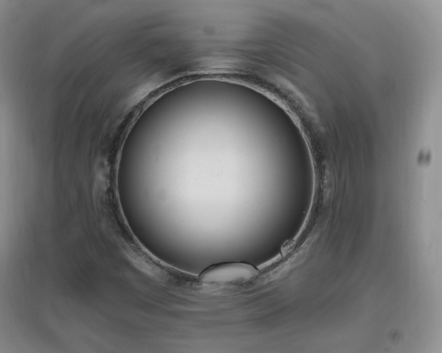 X0000096961449200802081220