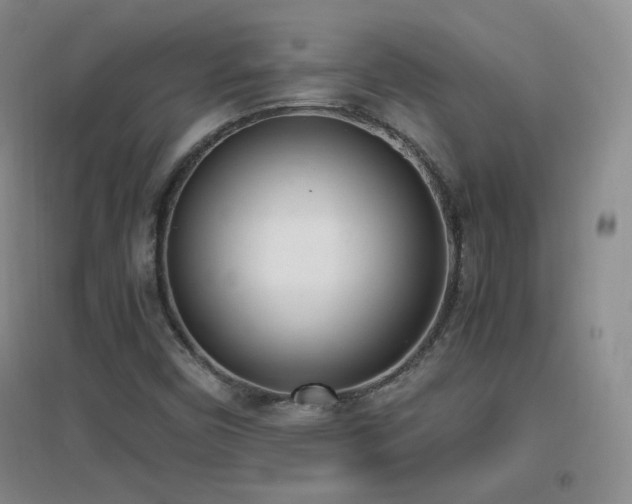 X0000096961450200802081220