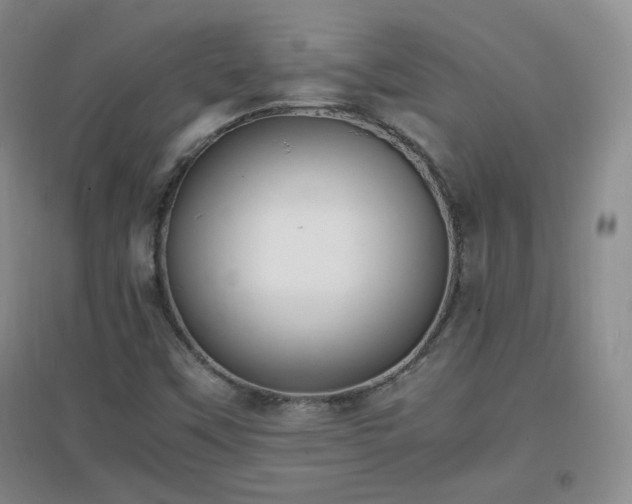 X0000096961451200802081220