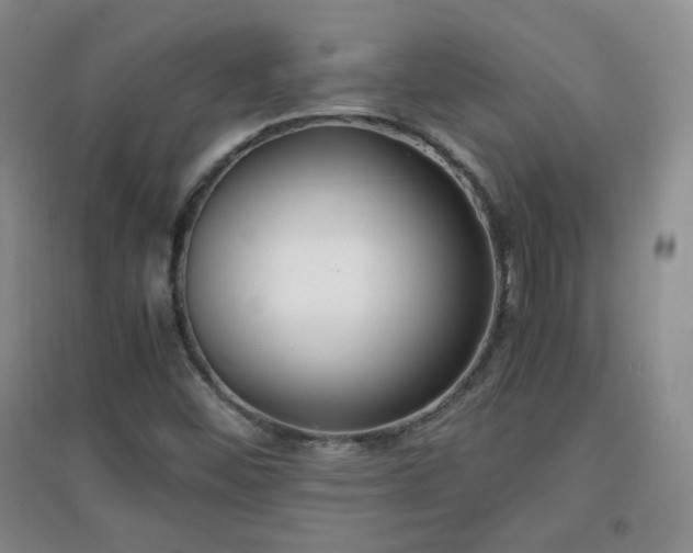 X0000096961452200802081220