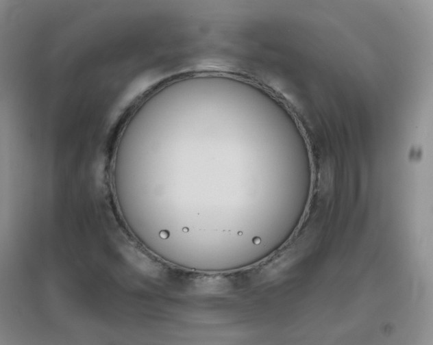 X0000096961454200802081220