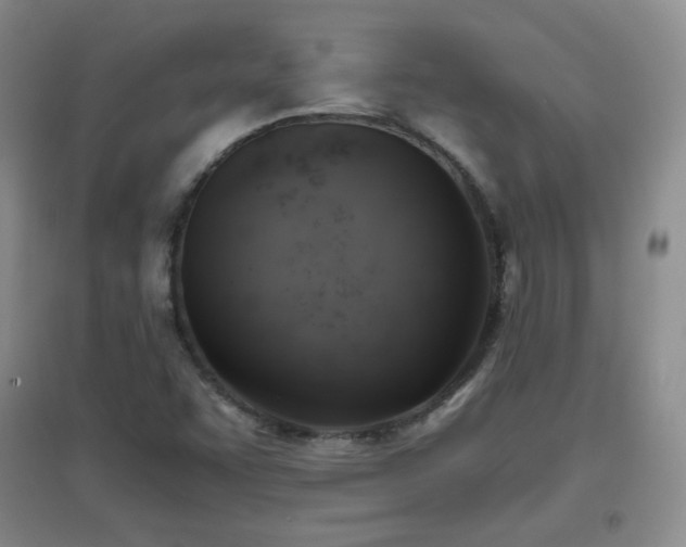 X0000096961455200802081220