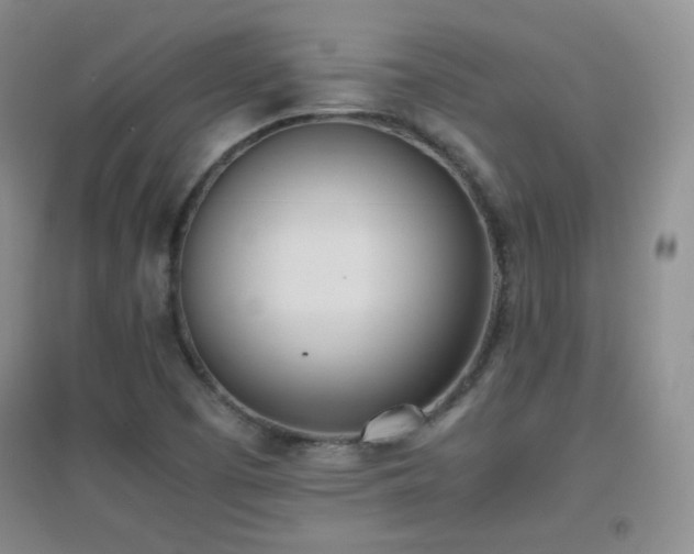 X0000096961457200802081220