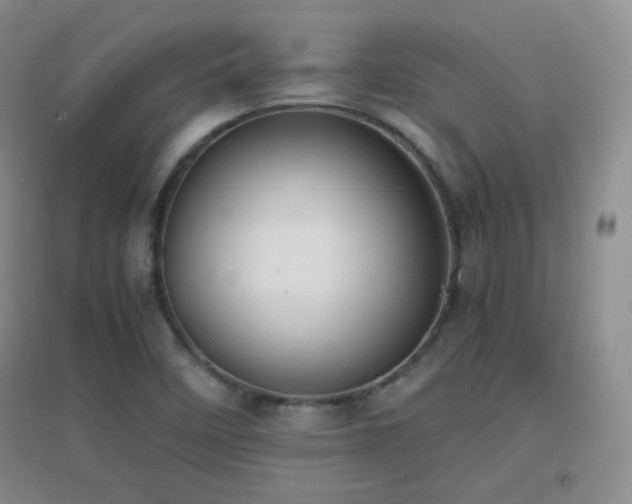 X0000096961458200802081220