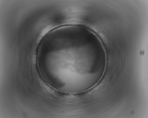 X0000096961459200802081220