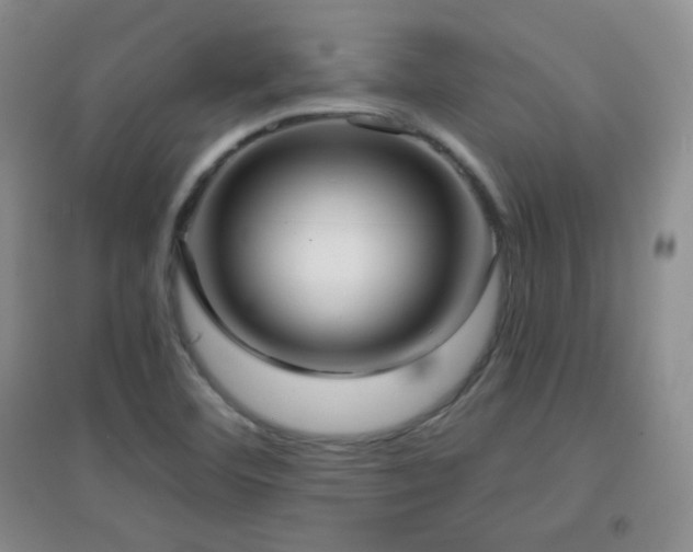 X0000096961460200802081220