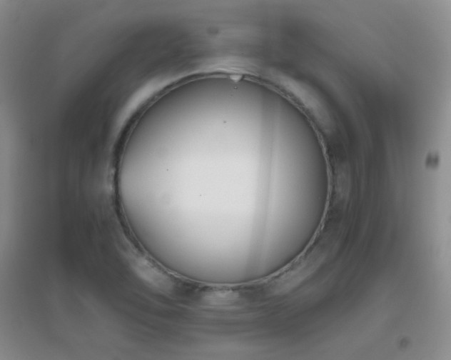X0000096961462200802081220