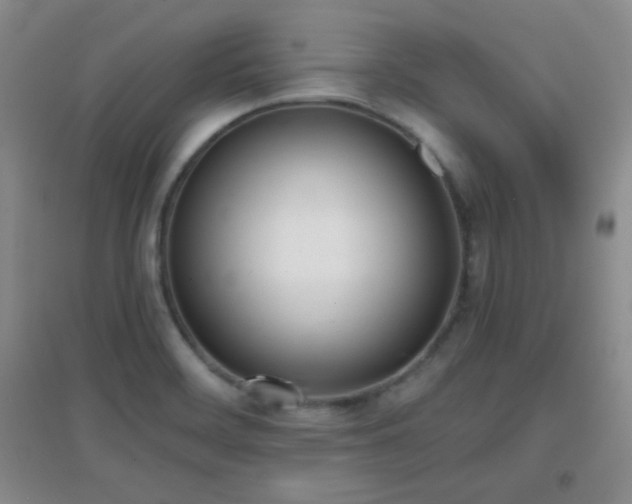 X0000096961468200802081220