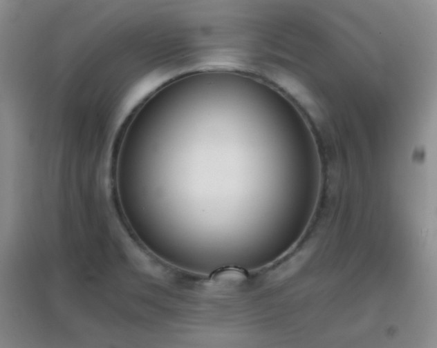 X0000096961469200802081220