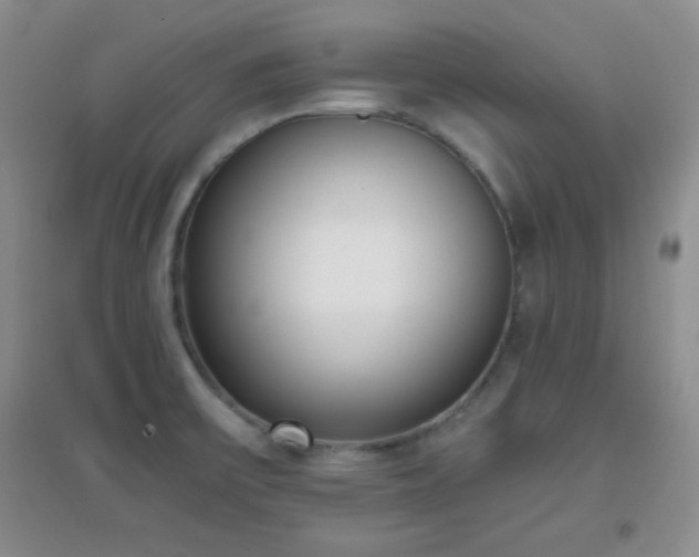 X0000096961475200802081219