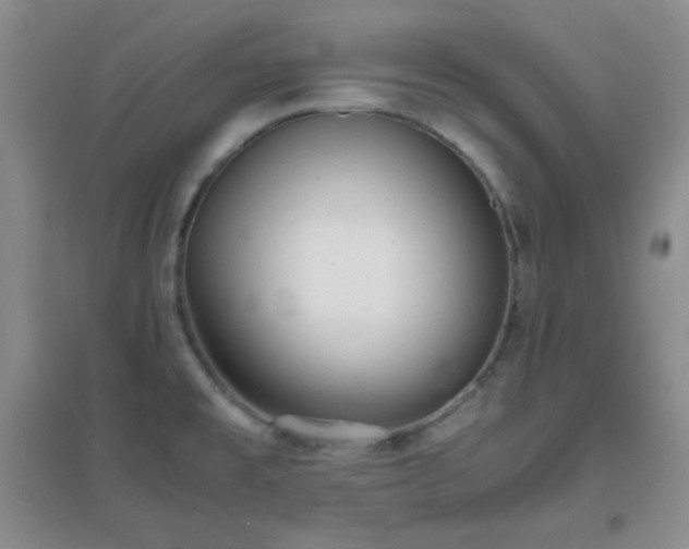 X0000096961477200802081219