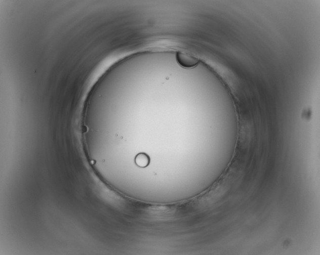 X0000096961478200802081219