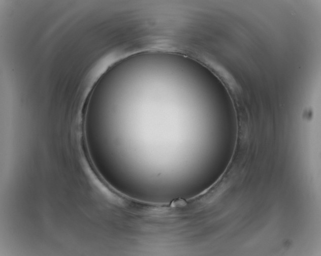 X0000096961479200802081219