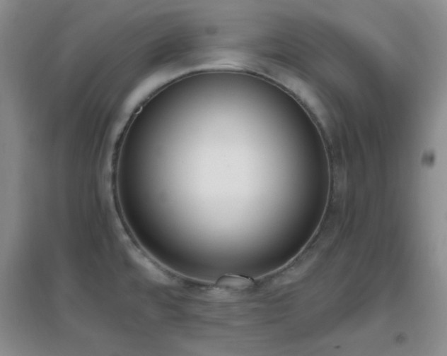X0000096961480200802081219