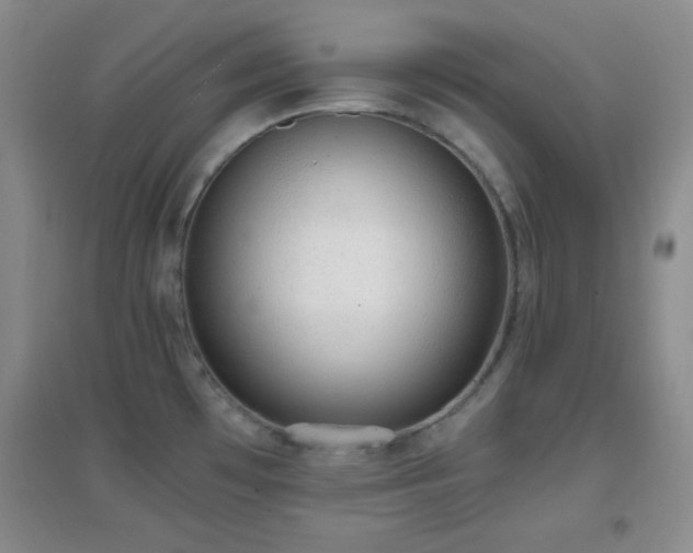 X0000096961481200802081219