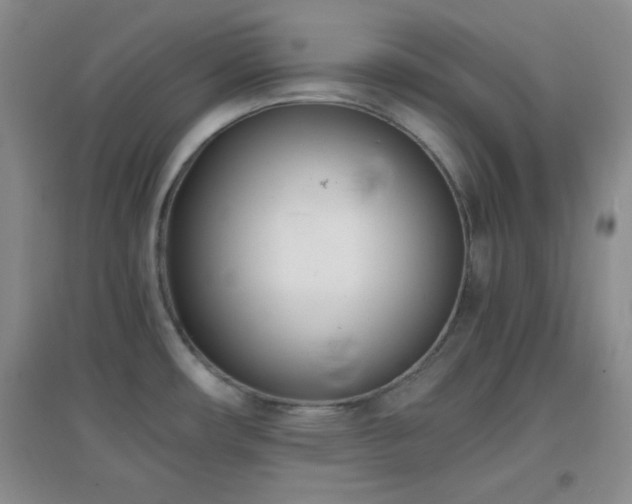 X0000096961482200802081219
