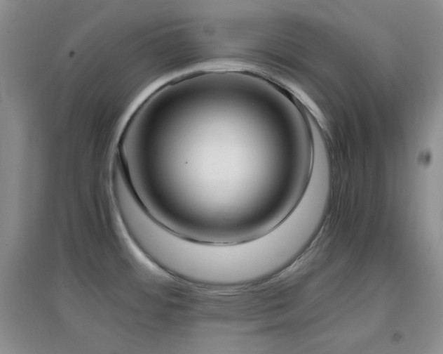 X0000096961484200802081219