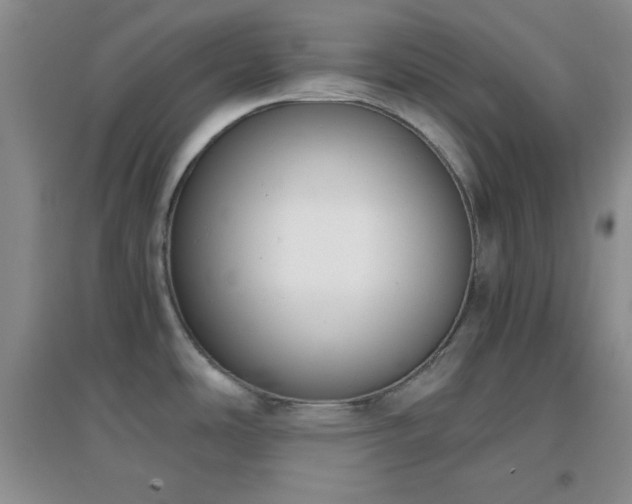 X0000096961486200802081219