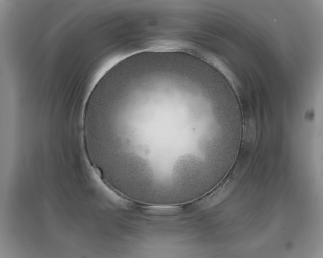 X0000096961487200802081219