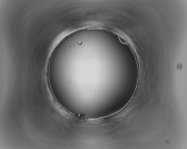X0000096961488200802081219