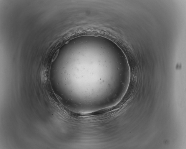 X0000096961490200802081219