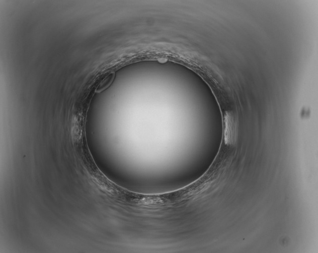 X0000096961491200802081219