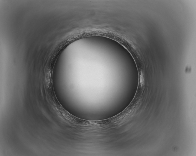 X0000096961492200802081219