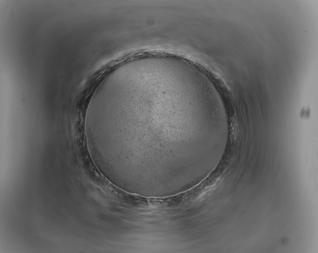 X0000096961494200802081219