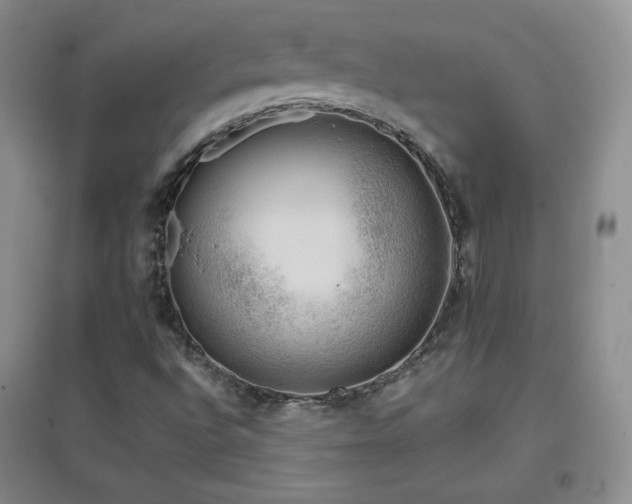 X0000096961496200802081219