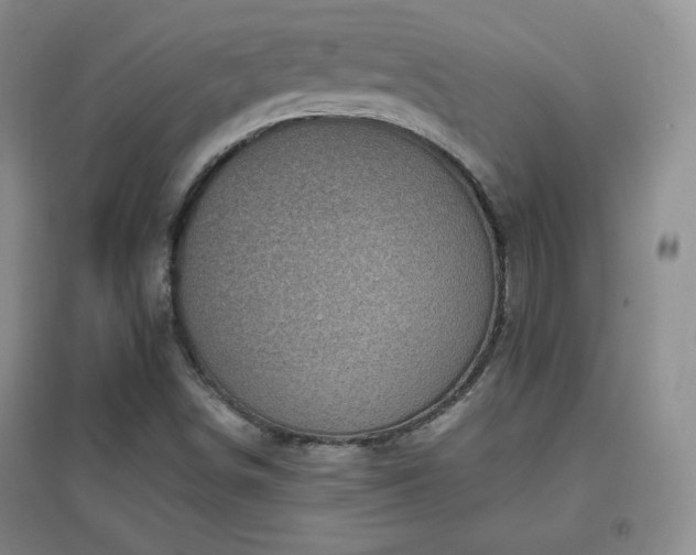 X0000096961498200802081219
