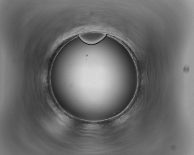 X0000096961499200802081219